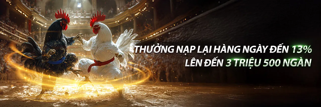 Hình ảnh đá gà trực tuyến sôi động tại vuabai99
